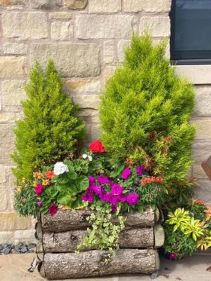 Norham The Masons Arms Bed & Breakfast エクステリア 写真